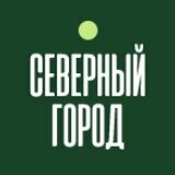 Северный город
